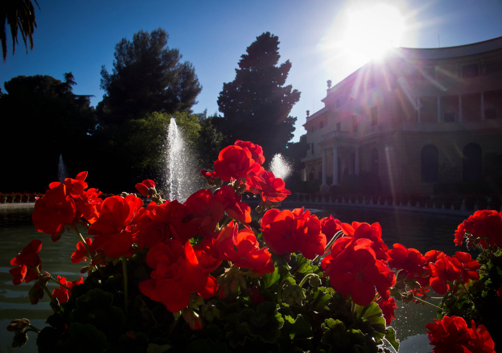 parque pedralbes.jpg